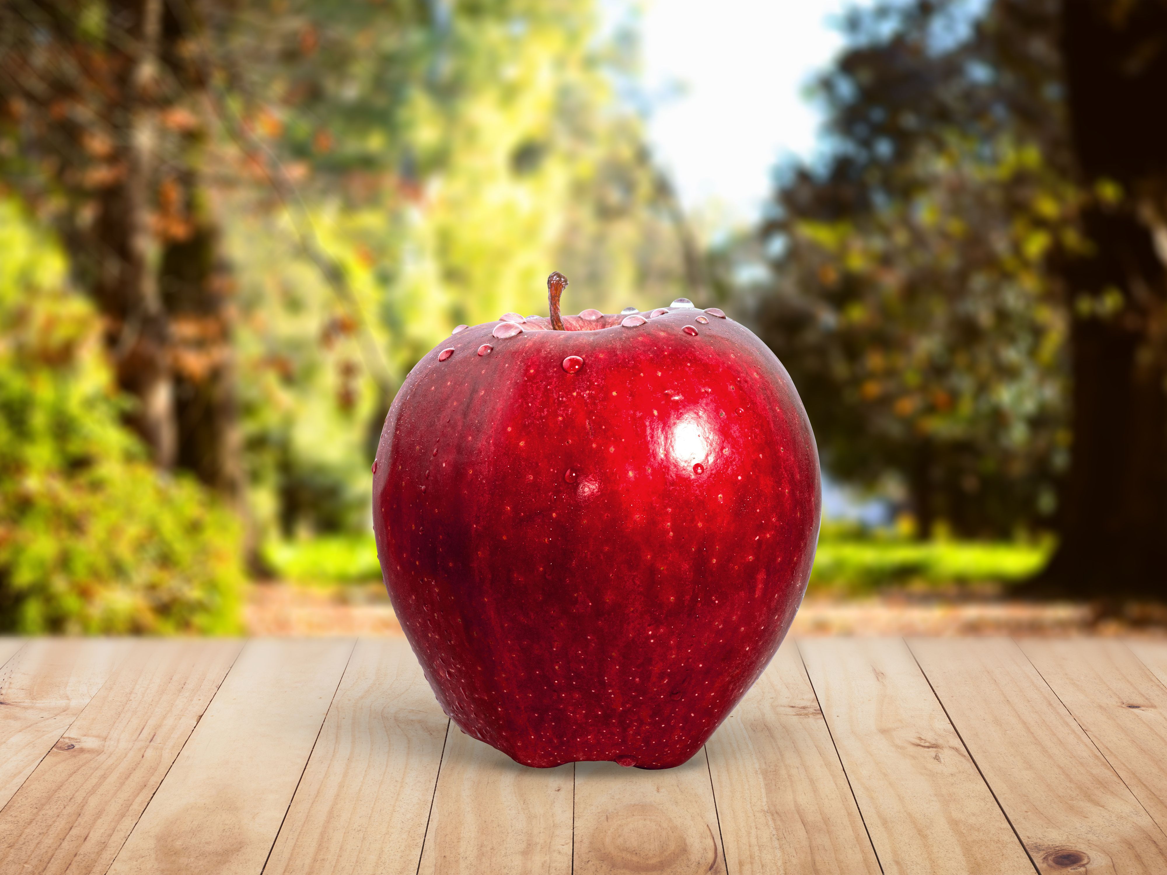 Shiny Red Apples