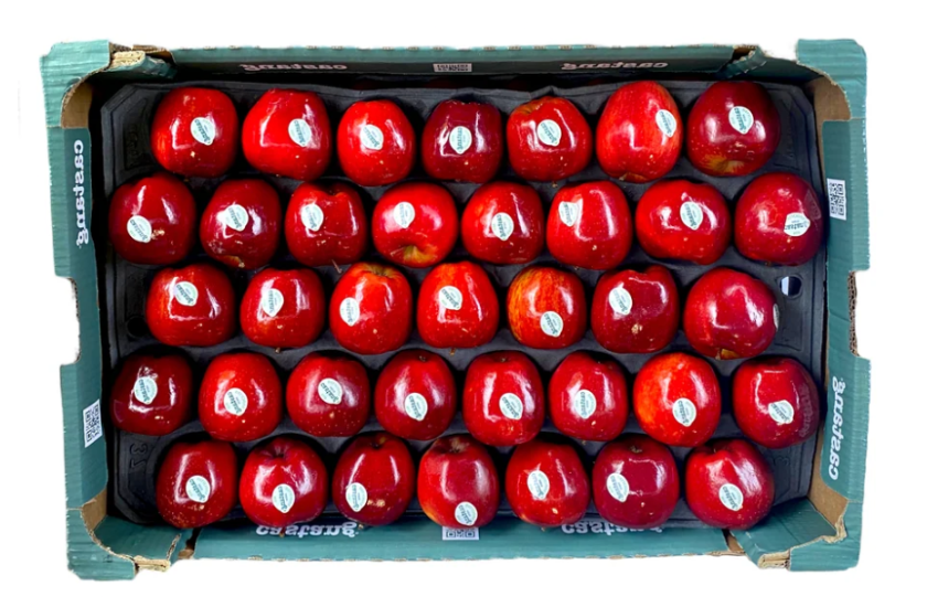Shiny Red Apples